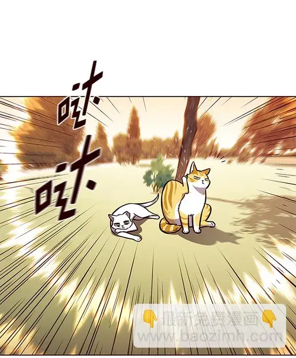 漫画《觉醒吧，铲屎官！》第161话第71张图