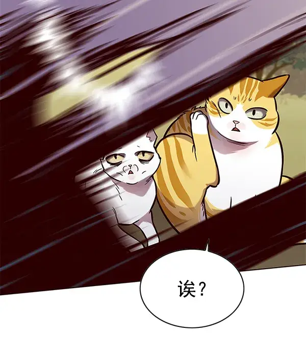 漫画《觉醒吧，铲屎官！》第161话第75张图