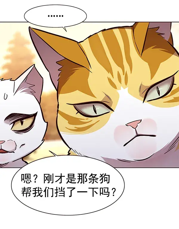 漫画《觉醒吧，铲屎官！》第161话第82张图