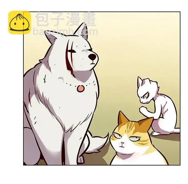 漫画《觉醒吧，铲屎官！》第162话第32张图