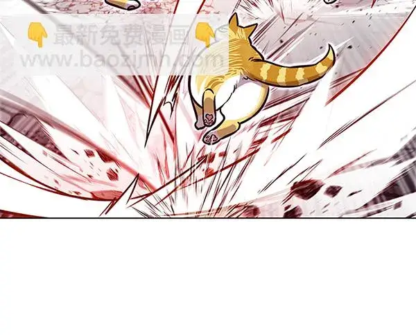 漫画《觉醒吧，铲屎官！》第163话第58张图