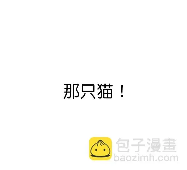 漫画《觉醒吧，铲屎官！》第164话第105张图