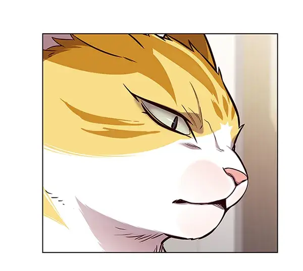 漫画《觉醒吧，铲屎官！》第164话第34张图