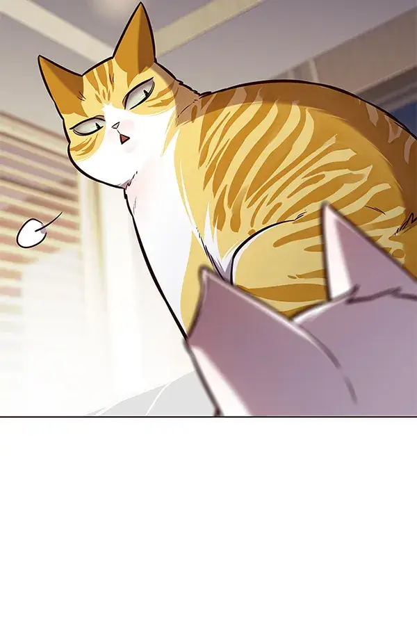 漫画《觉醒吧，铲屎官！》第164话第41张图
