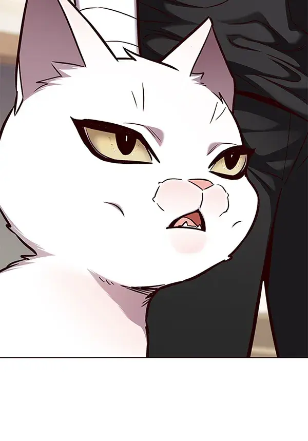 漫画《觉醒吧，铲屎官！》第164话第67张图