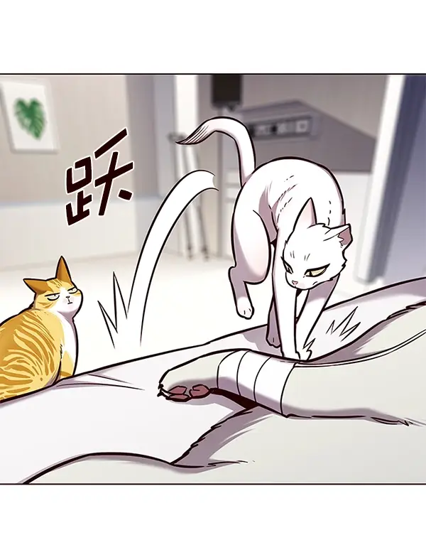 漫画《觉醒吧，铲屎官！》第166话第15张图