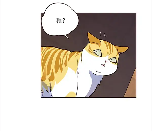 漫画《觉醒吧，铲屎官！》第14话第54张图