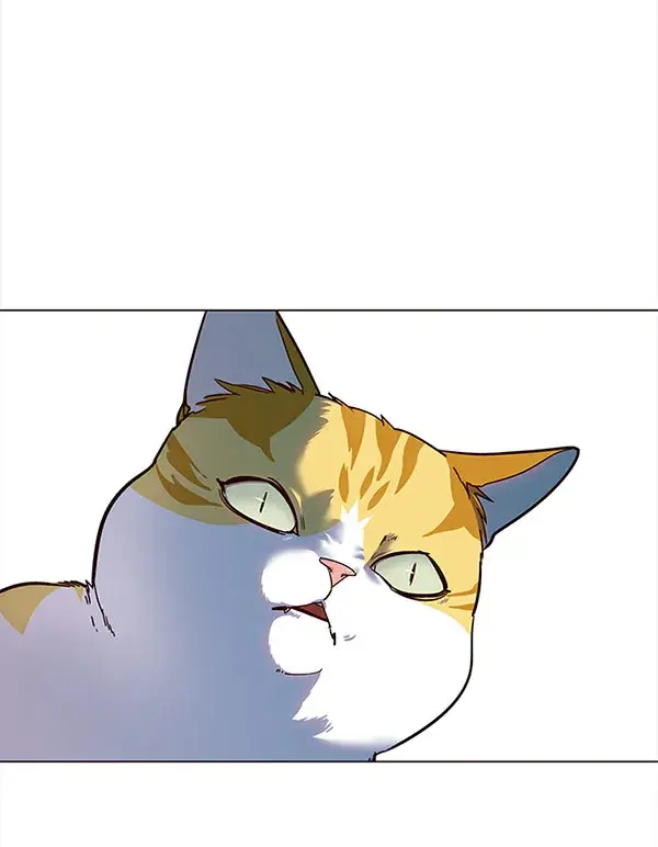 漫画《觉醒吧，铲屎官！》第14话第56张图