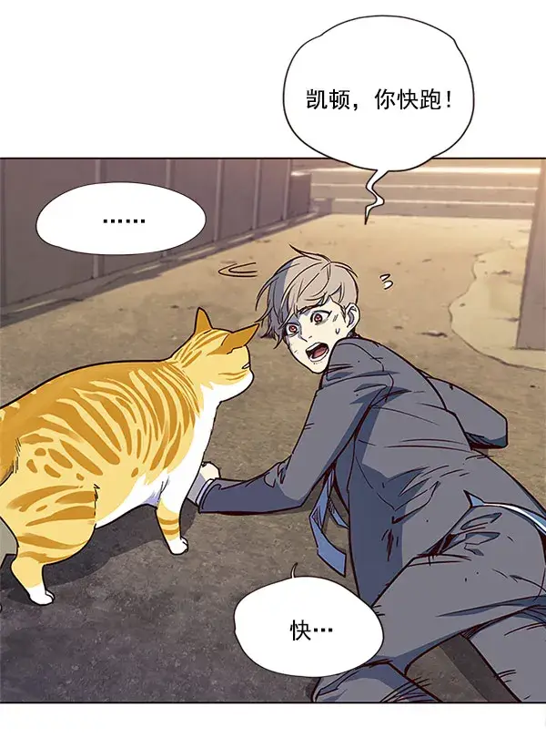 漫画《觉醒吧，铲屎官！》第14话第86张图