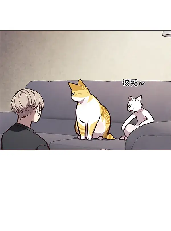 漫画《觉醒吧，铲屎官！》第173话第48张图