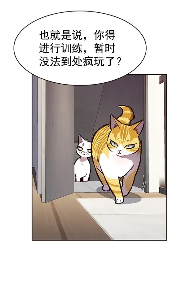 漫画《觉醒吧，铲屎官！》第173话第73张图