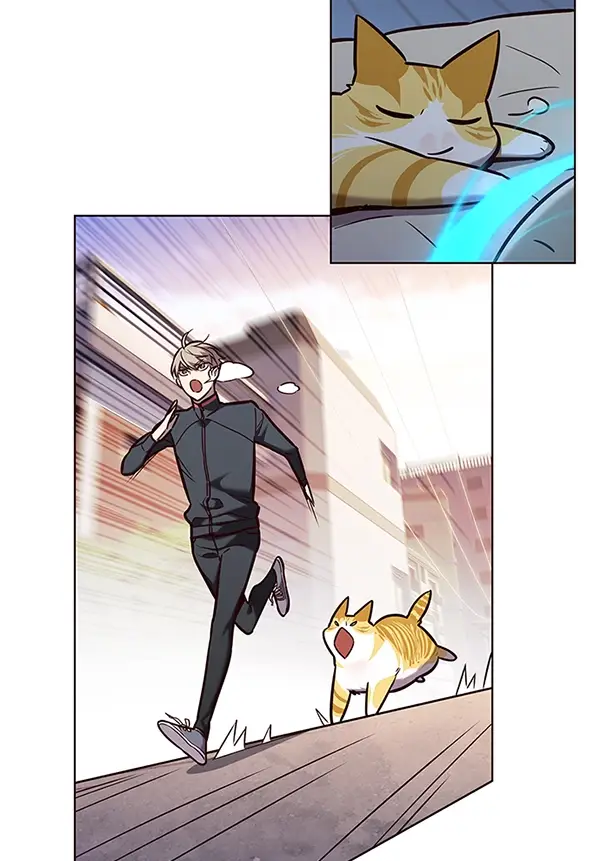 漫画《觉醒吧，铲屎官！》第174话第107张图