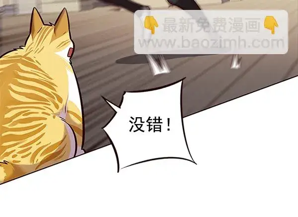 漫画《觉醒吧，铲屎官！》第174话第65张图
