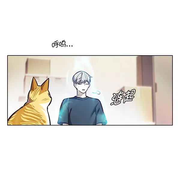 漫画《觉醒吧，铲屎官！》第174话第80张图