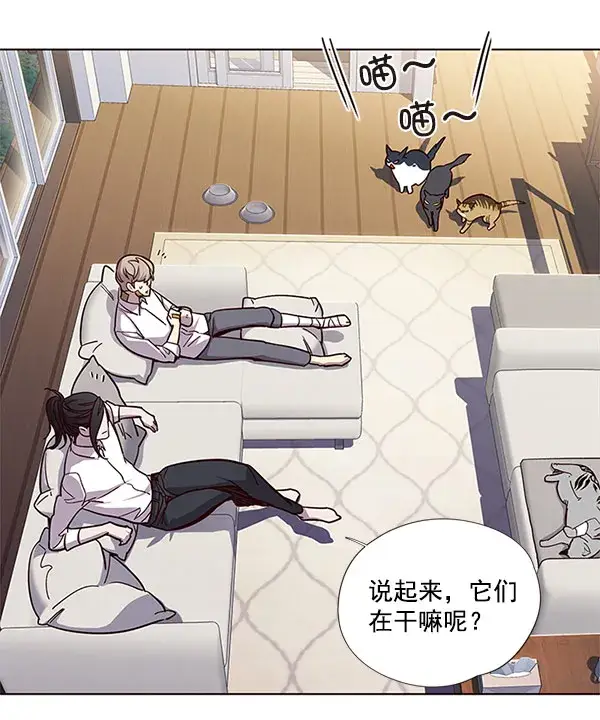 漫画《觉醒吧，铲屎官！》第15话第95张图