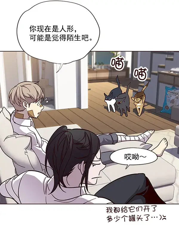 漫画《觉醒吧，铲屎官！》第15话第97张图