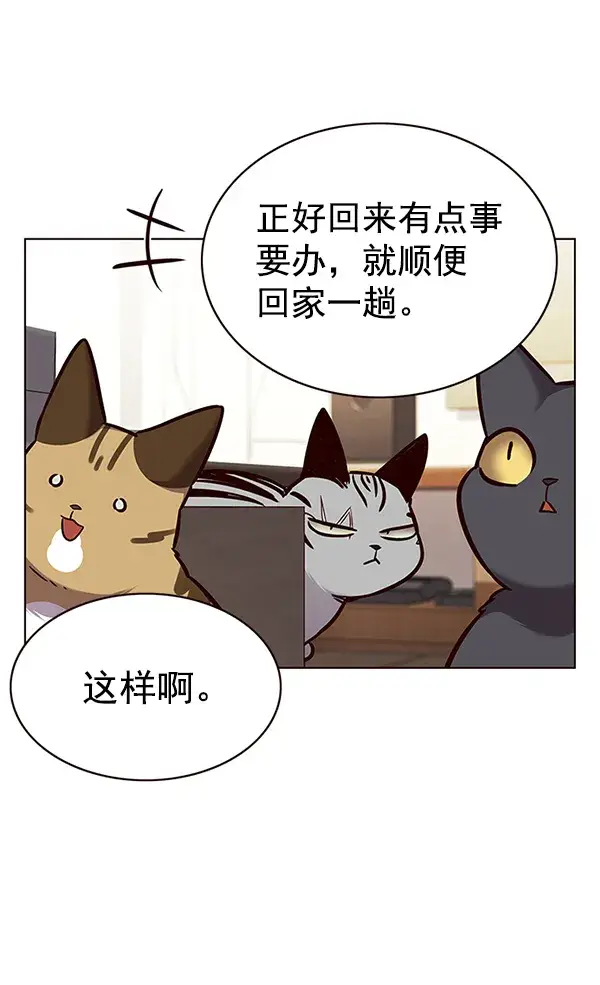 漫画《觉醒吧，铲屎官！》第177话第12张图