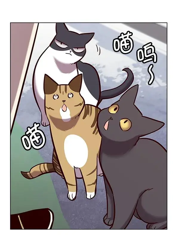 漫画《觉醒吧，铲屎官！》第179话第101张图
