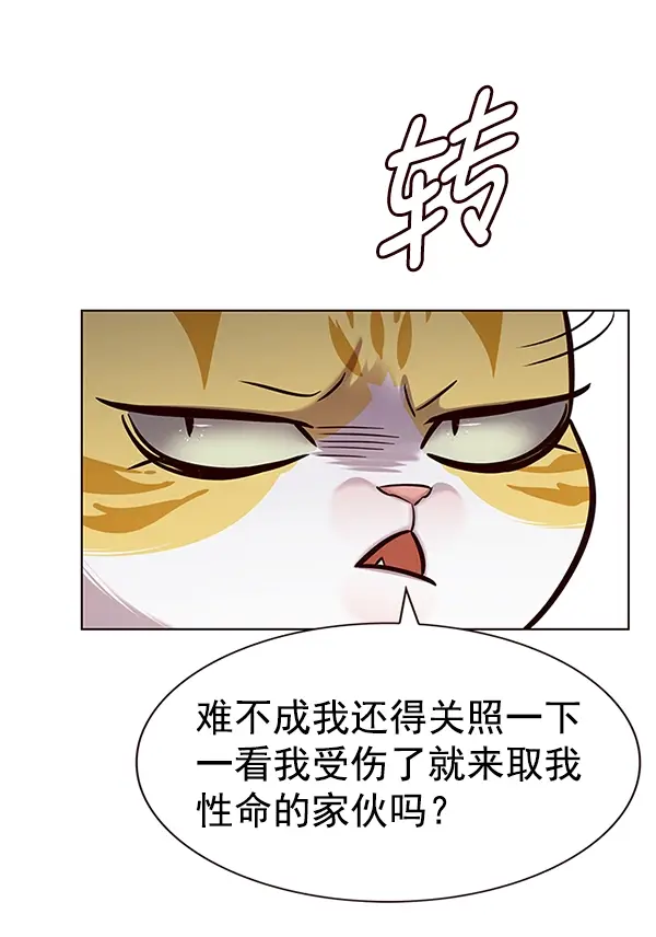 漫画《觉醒吧，铲屎官！》第186话第33张图