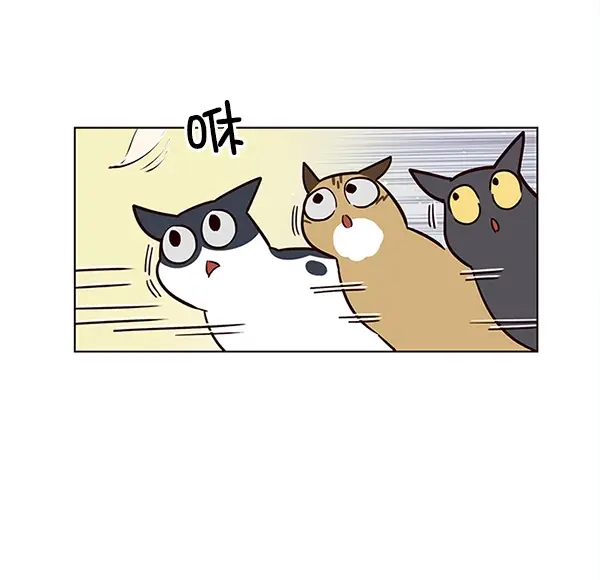 漫画《觉醒吧，铲屎官！》第16话第15张图