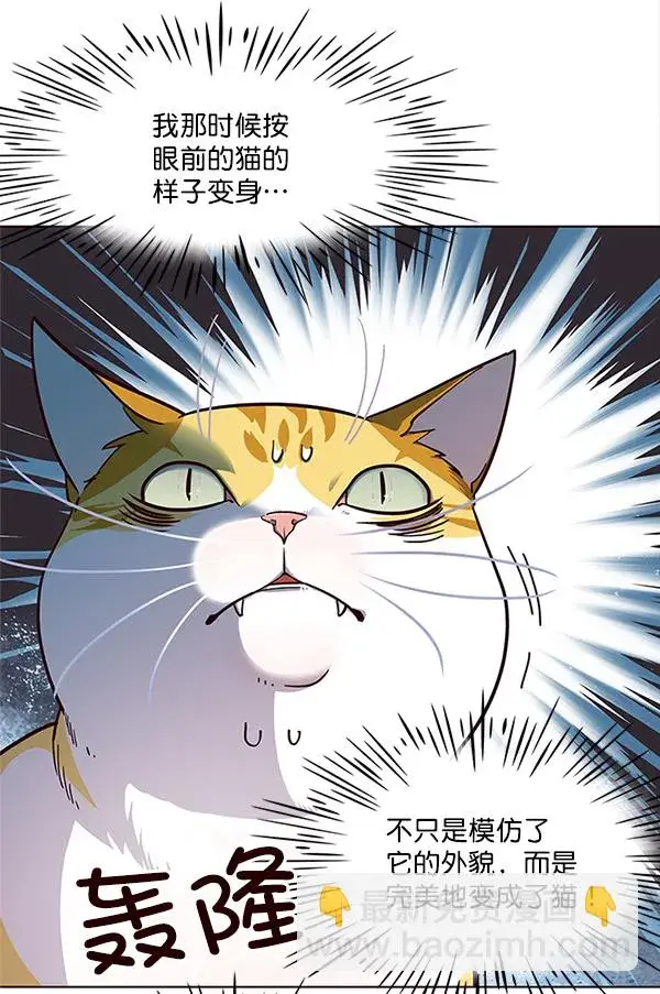 漫画《觉醒吧，铲屎官！》第16话第22张图