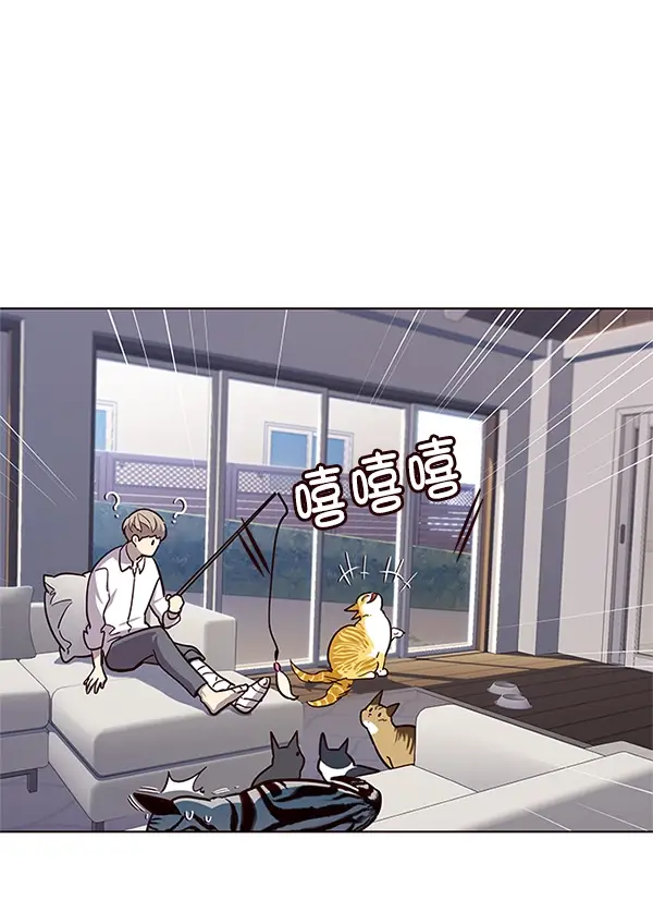 漫画《觉醒吧，铲屎官！》第16话第28张图