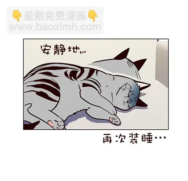 漫画《觉醒吧，铲屎官！》第16话第33张图