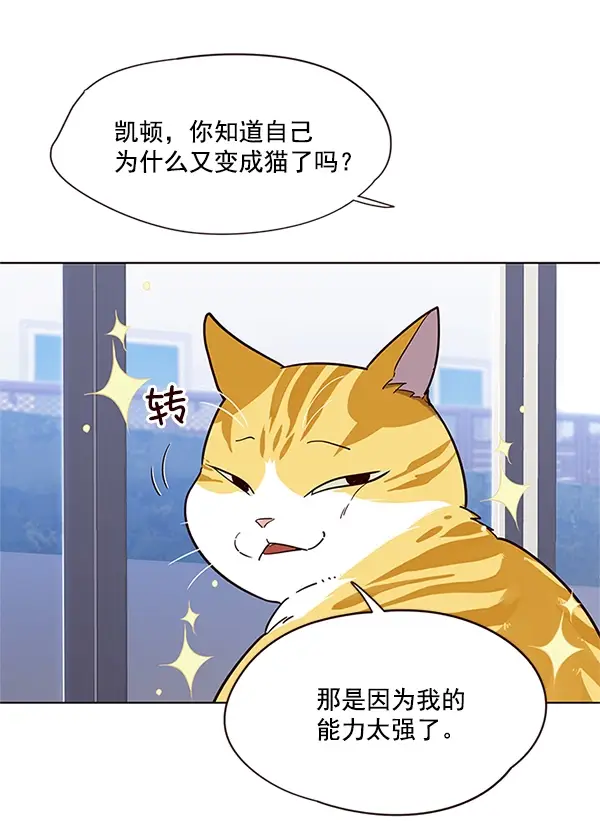 漫画《觉醒吧，铲屎官！》第16话第35张图