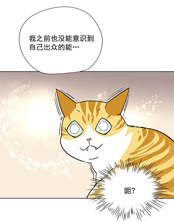 漫画《觉醒吧，铲屎官！》第16话第36张图