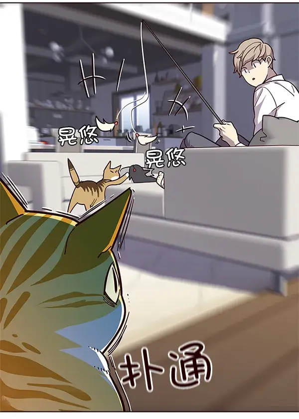 漫画《觉醒吧，铲屎官！》第16话第38张图