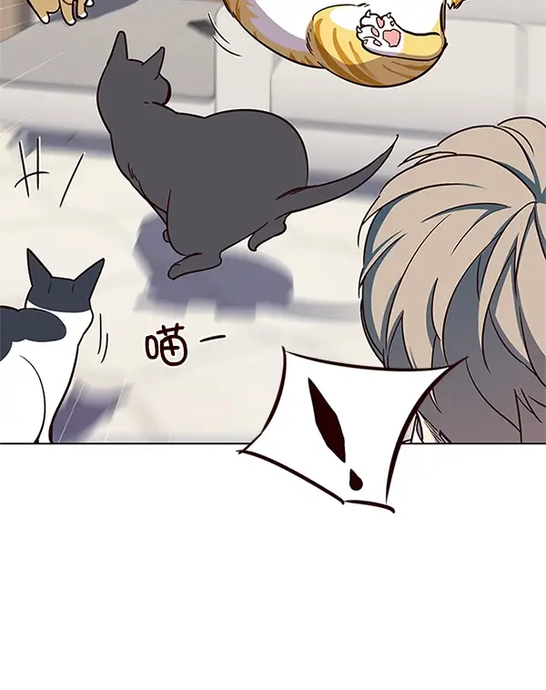 漫画《觉醒吧，铲屎官！》第16话第42张图