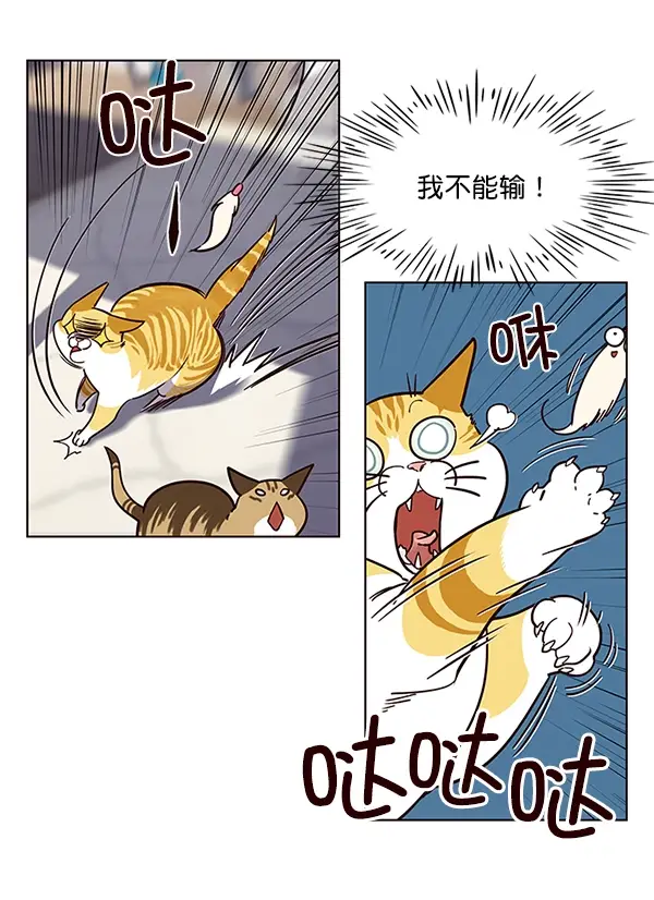 漫画《觉醒吧，铲屎官！》第16话第43张图