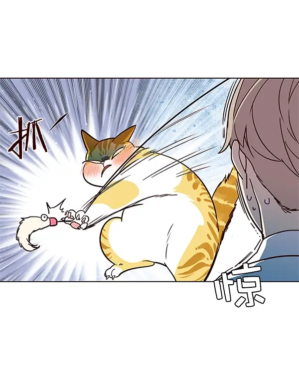 漫画《觉醒吧，铲屎官！》第16话第46张图