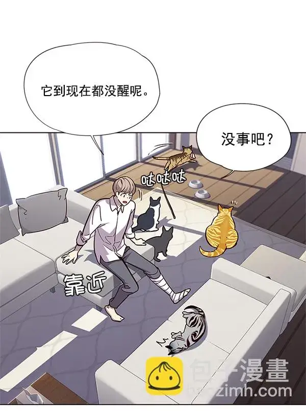 漫画《觉醒吧，铲屎官！》第16话第52张图