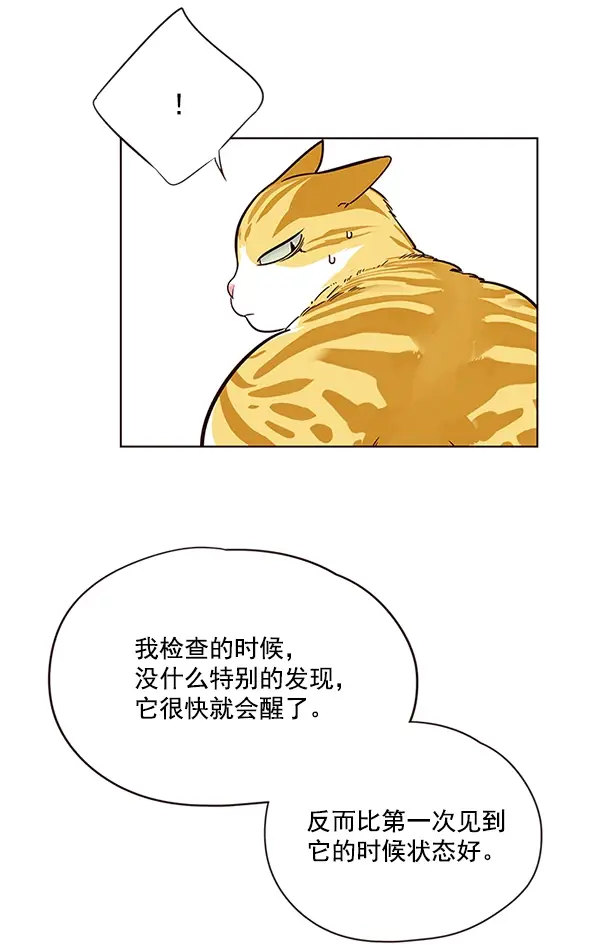 漫画《觉醒吧，铲屎官！》第16话第54张图