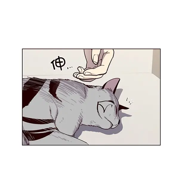 漫画《觉醒吧，铲屎官！》第16话第56张图