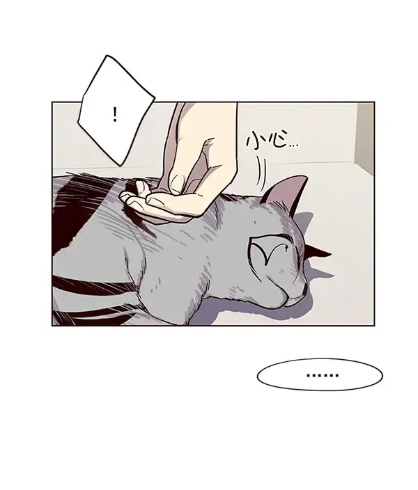 漫画《觉醒吧，铲屎官！》第16话第57张图