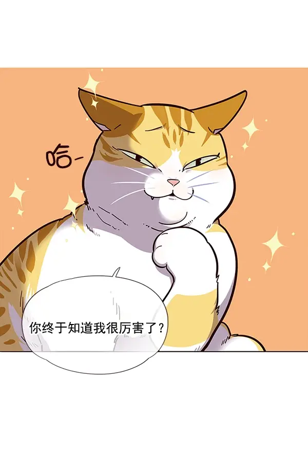 漫画《觉醒吧，铲屎官！》第16话第65张图