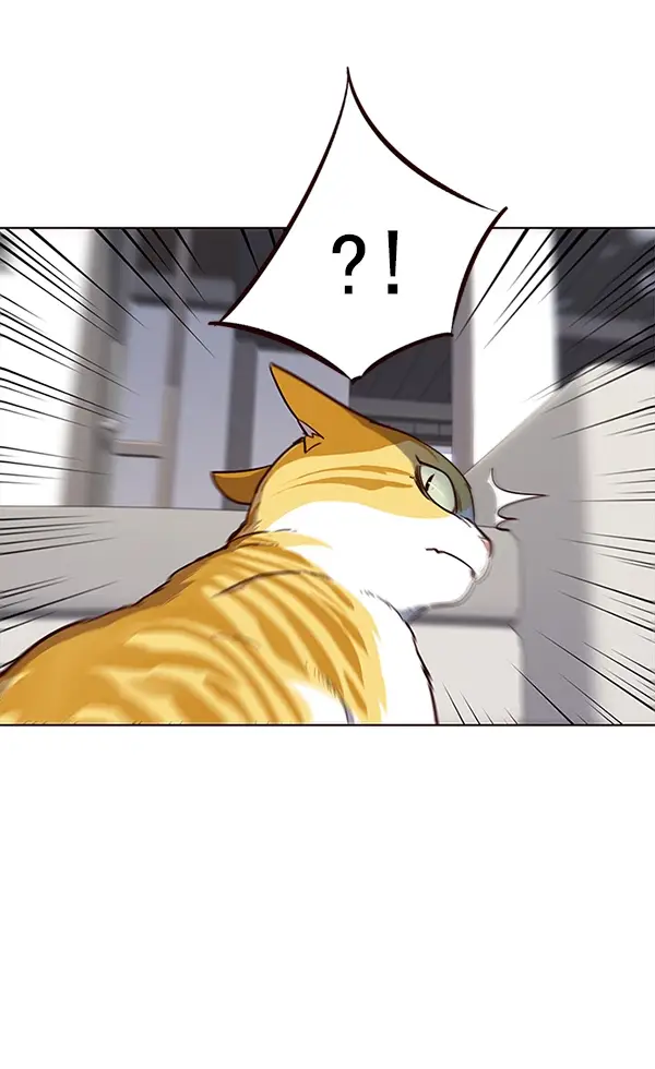 漫画《觉醒吧，铲屎官！》第16话第69张图