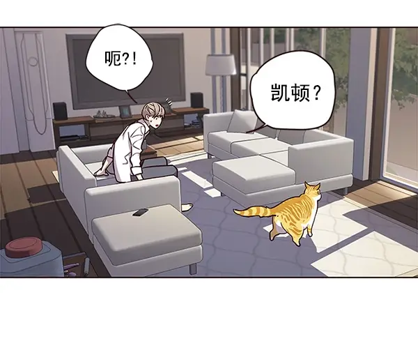 漫画《觉醒吧，铲屎官！》第16话第70张图