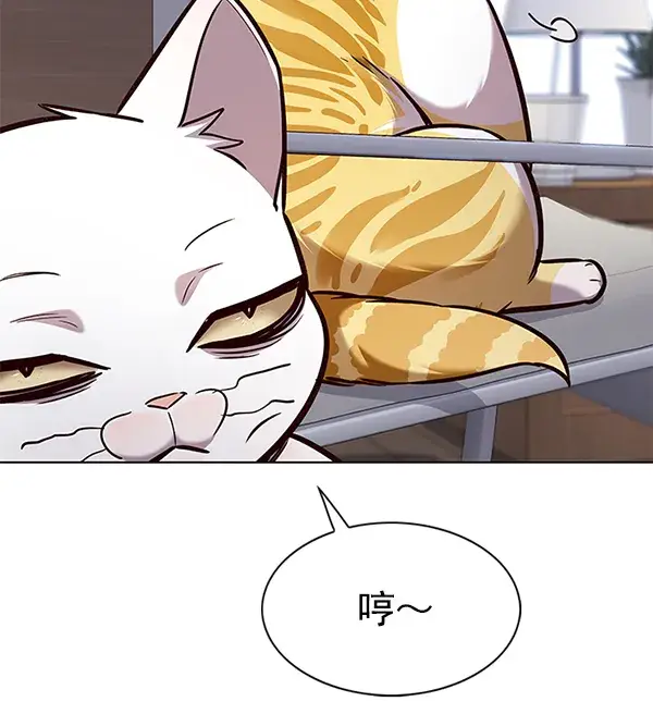 漫画《觉醒吧，铲屎官！》第187话第12张图