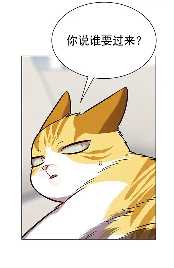 漫画《觉醒吧，铲屎官！》第188话第3张图