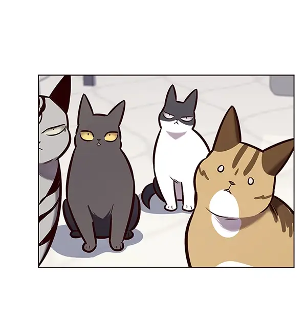 漫画《觉醒吧，铲屎官！》第188话第40张图