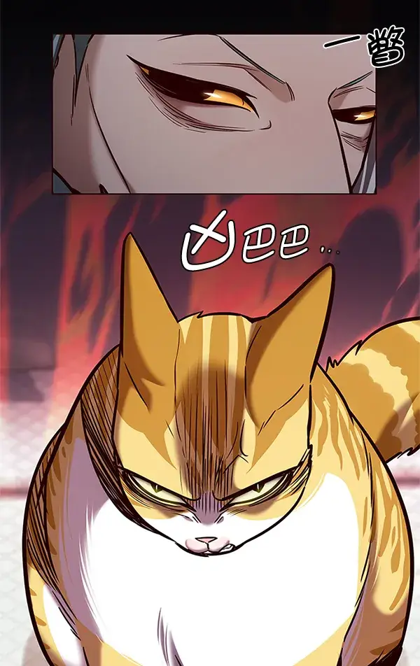 漫画《觉醒吧，铲屎官！》第196话第72张图