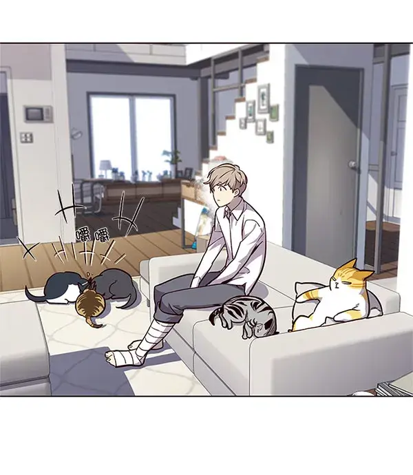 漫画《觉醒吧，铲屎官！》第17话第31张图
