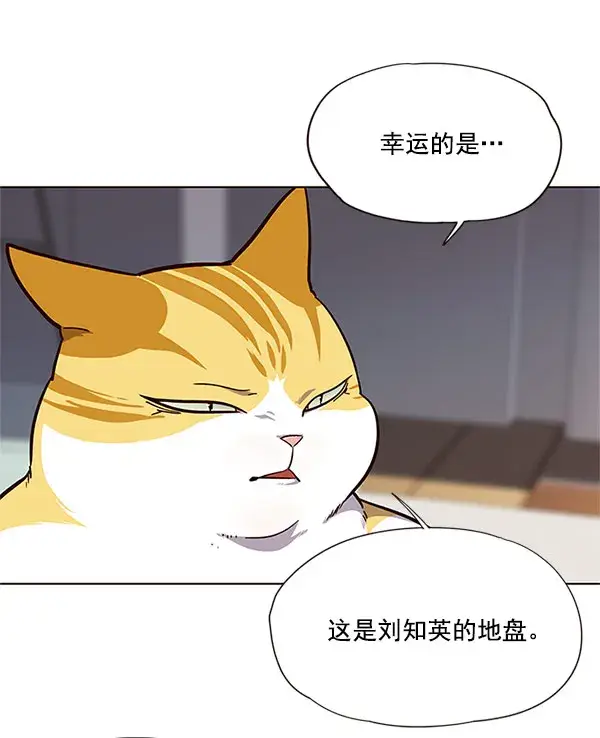 漫画《觉醒吧，铲屎官！》第17话第35张图