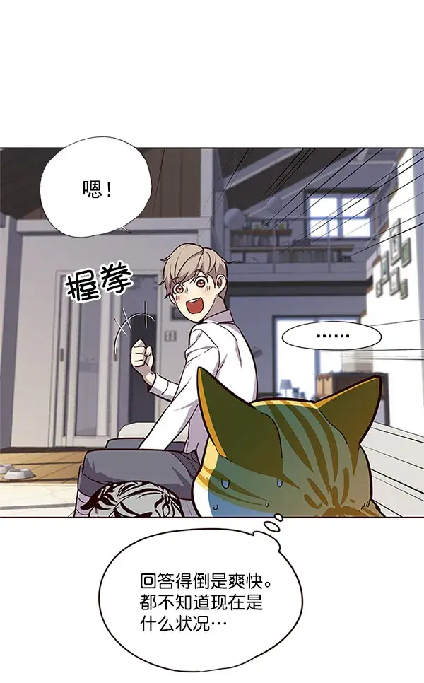 漫画《觉醒吧，铲屎官！》第17话第43张图