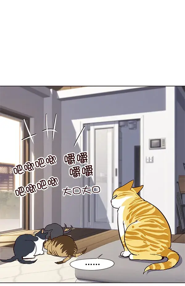 漫画《觉醒吧，铲屎官！》第17话第61张图