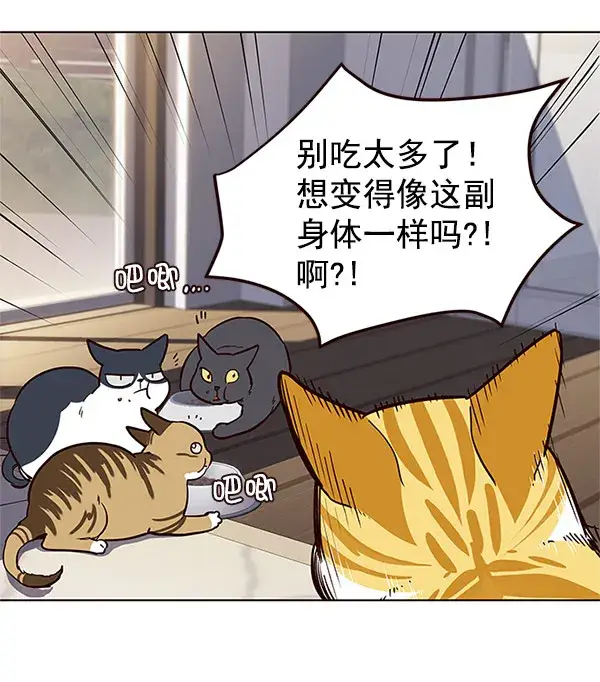 漫画《觉醒吧，铲屎官！》第17话第63张图