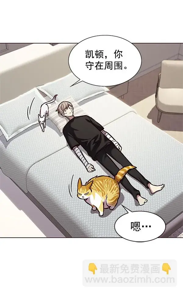 漫画《觉醒吧，铲屎官！》第199话第82张图